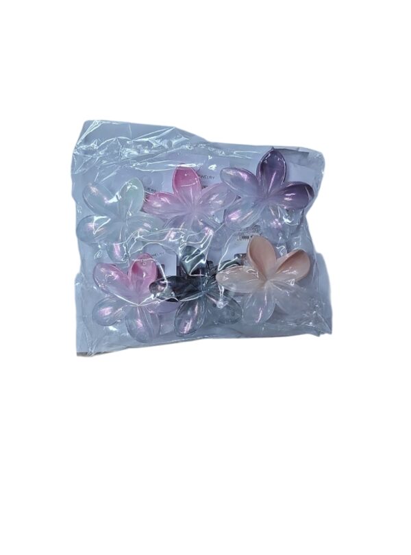 Broches - Imagen 2
