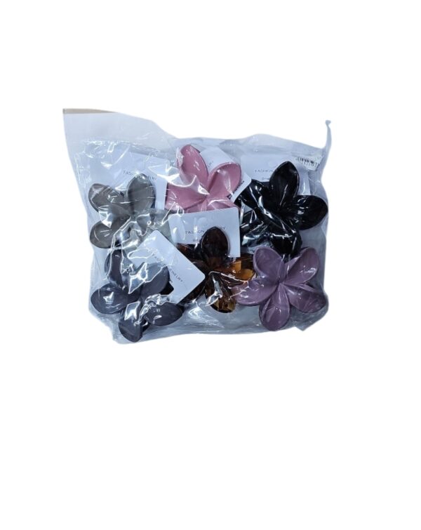 Broches - Imagen 3
