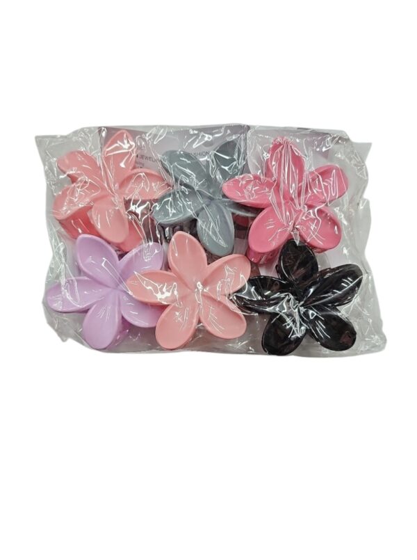 Broches - Imagen 4